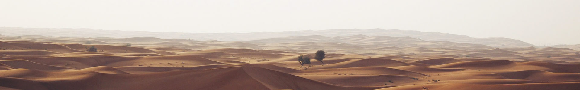 Զܽ޹˾